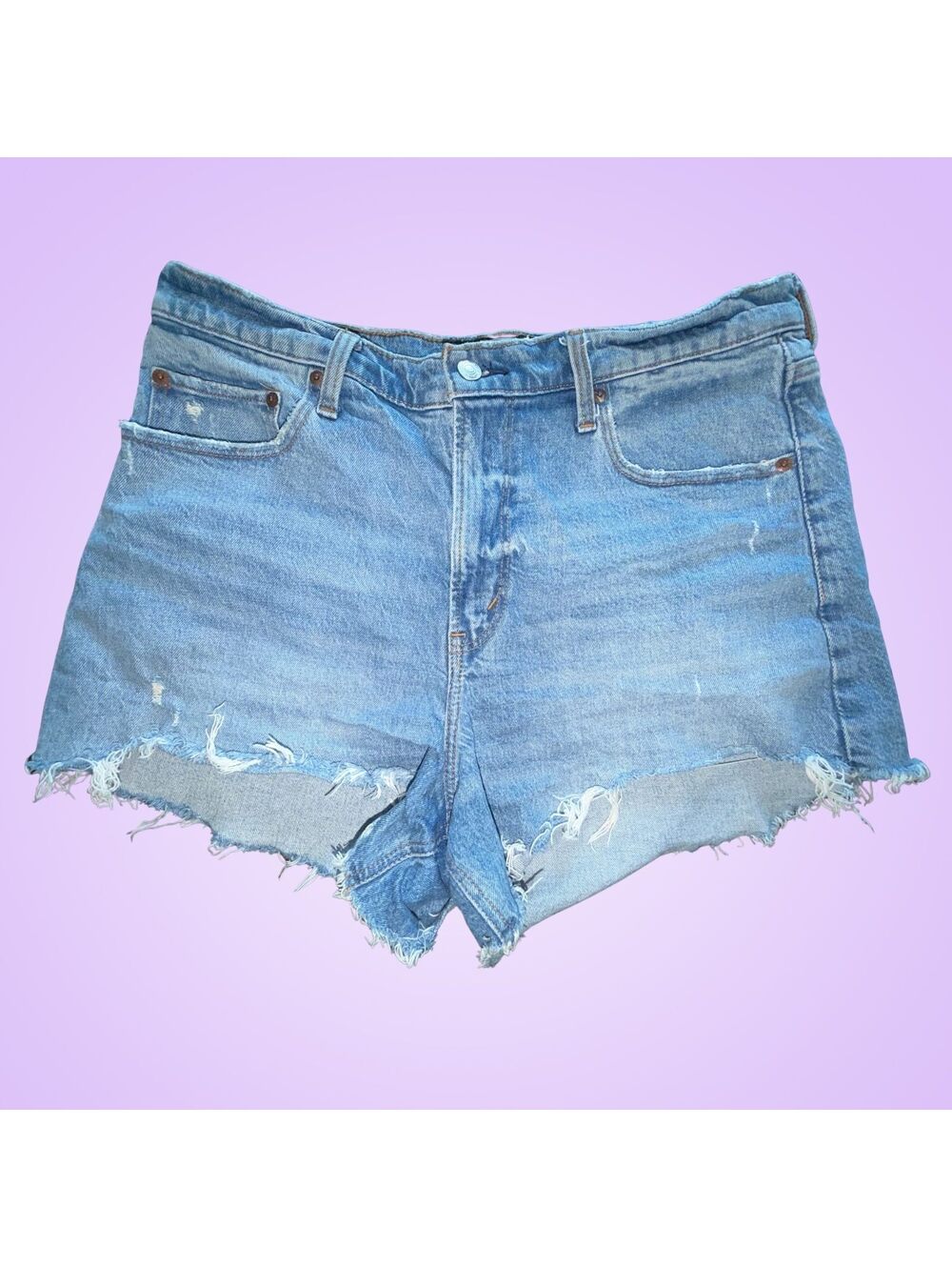 Abercrombie & Fitch ’90s Relaxed Cutoff Denim Shorts | Size 32/14